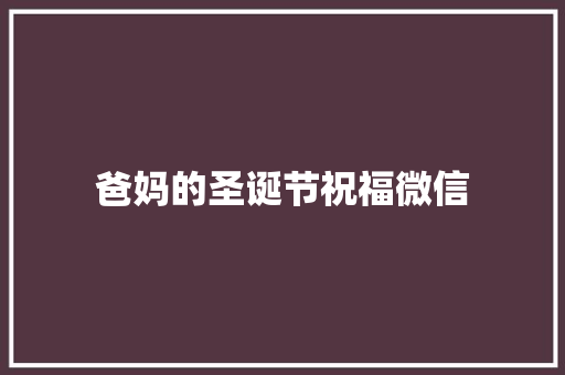 爸妈的圣诞节祝福微信 写作技巧