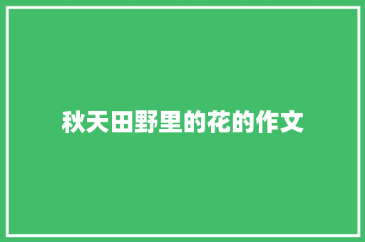 秋天田野里的花的作文