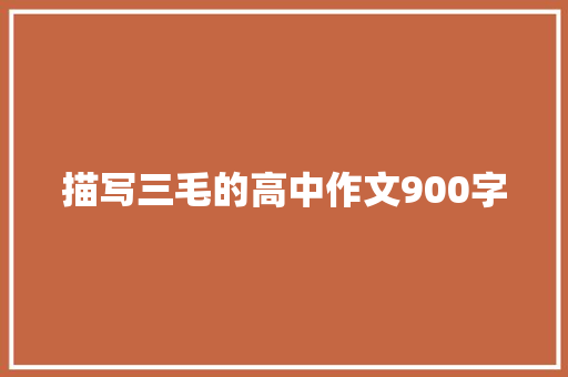 描写三毛的高中作文900字 写作技巧