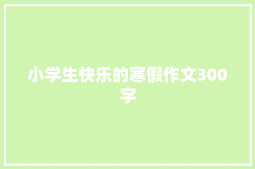 小学生快乐的寒假作文300字 词汇积累
