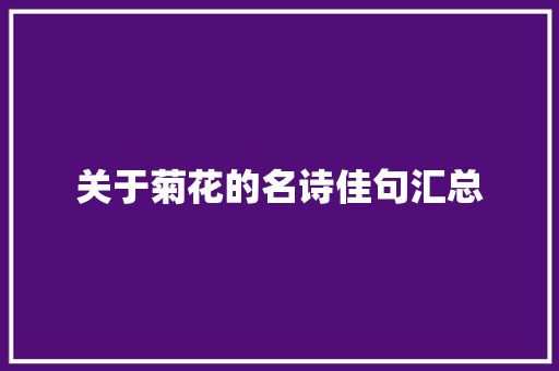 关于菊花的名诗佳句汇总 写作素材