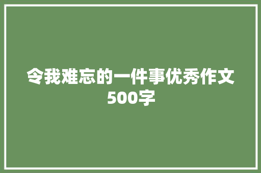 令我难忘的一件事优秀作文500字 词汇积累