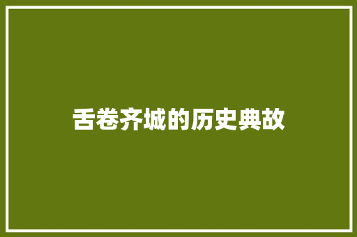 舌卷齐城的历史典故 简历模板