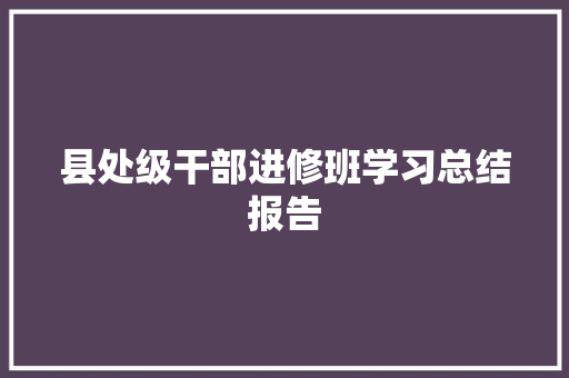 县处级干部进修班学习总结报告
