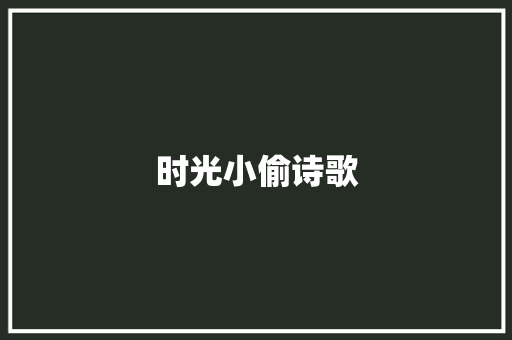 时光小偷诗歌 商业文案