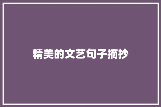 精美的文艺句子摘抄 简历模板