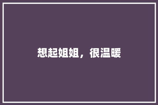 想起姐姐，很温暖 报告写作