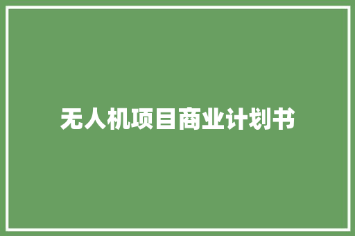 无人机项目商业计划书 写作技巧
