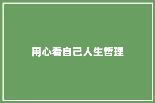 用心看自己人生哲理 写作技巧