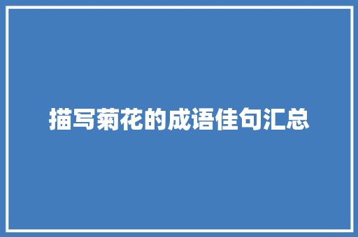 描写菊花的成语佳句汇总 词汇积累