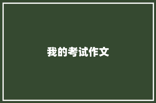 我的考试作文