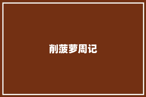 削菠萝周记 简历模板