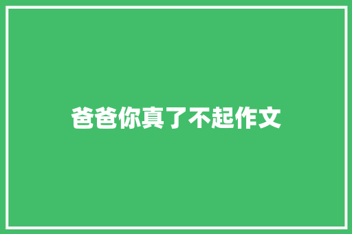 爸爸你真了不起作文