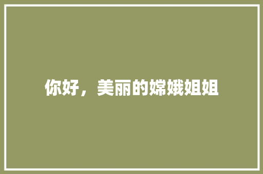 你好，美丽的嫦娥姐姐 写作技巧