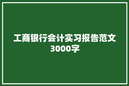 工商银行会计实习报告范文3000字 简历模板