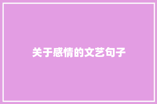 关于感情的文艺句子