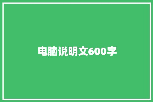 电脑说明文600字 简历模板