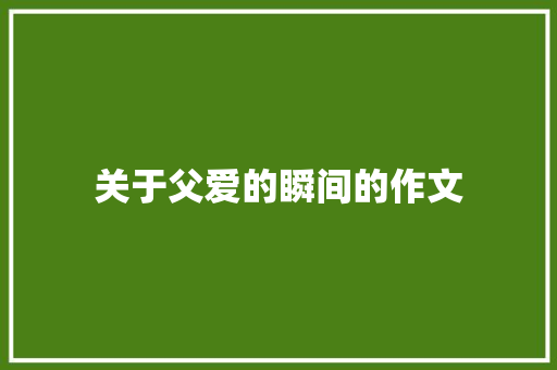关于父爱的瞬间的作文 写作社区