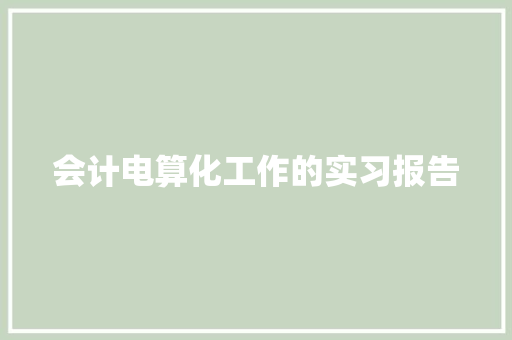 会计电算化工作的实习报告 词汇积累