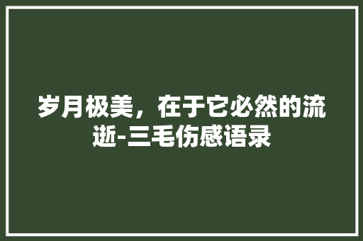 岁月极美，在于它必然的流逝-三毛伤感语录 词汇积累