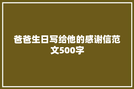 爸爸生日写给他的感谢信范文500字 范文赏析