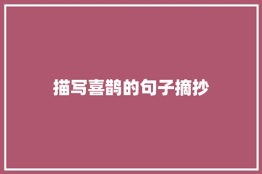 描写喜鹊的句子摘抄 词汇积累