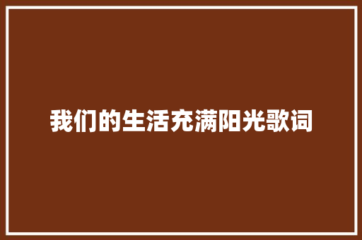 我们的生活充满阳光歌词 报告写作