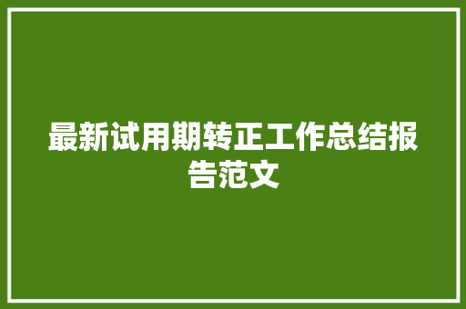 最新试用期转正工作总结报告范文 报告写作
