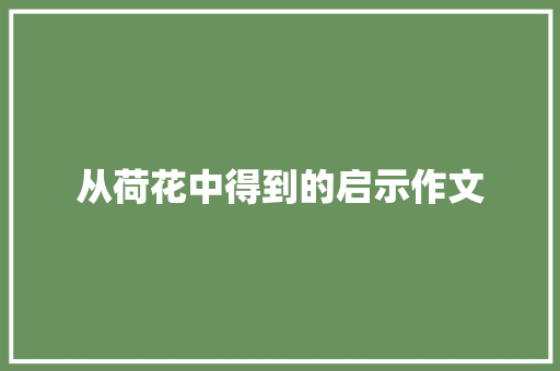 从荷花中得到的启示作文 写作素材