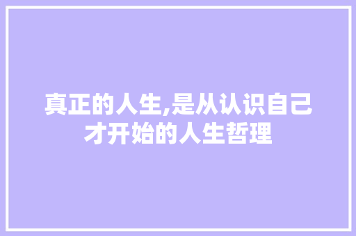 真正的人生,是从认识自己才开始的人生哲理 写作技巧