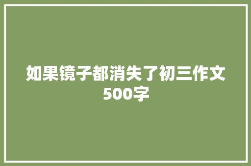 如果镜子都消失了初三作文500字 范文赏析