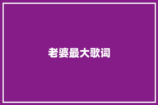 老婆最大歌词 商业文案