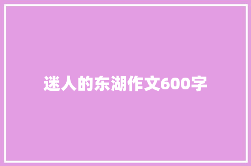 迷人的东湖作文600字 词汇积累
