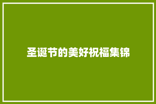 圣诞节的美好祝福集锦 报告写作