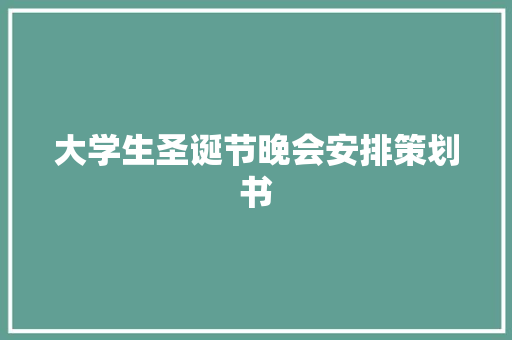 大学生圣诞节晚会安排策划书 词汇积累