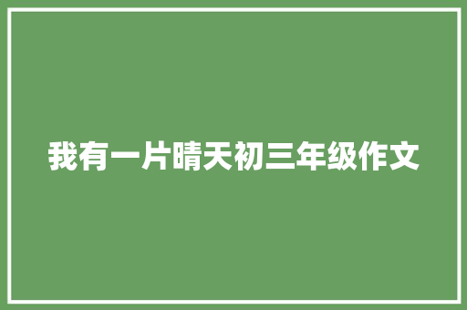 我有一片晴天初三年级作文 词汇积累