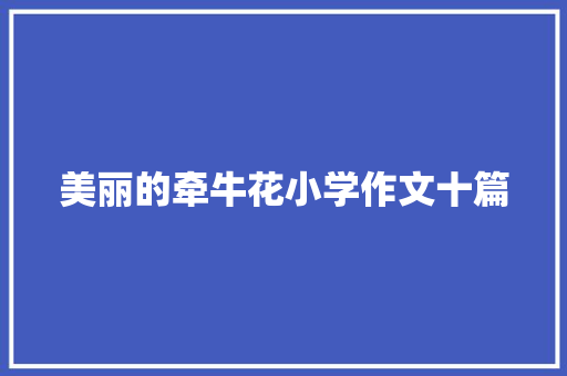 美丽的牵牛花小学作文十篇