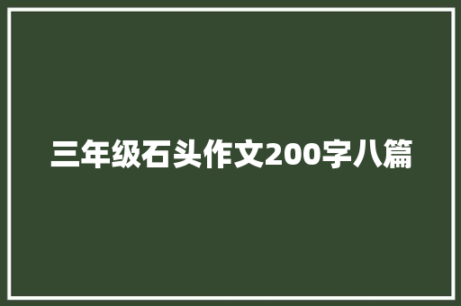 三年级石头作文200字八篇 词汇积累