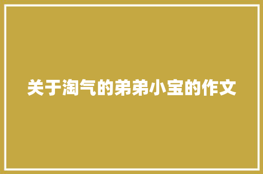 关于淘气的弟弟小宝的作文