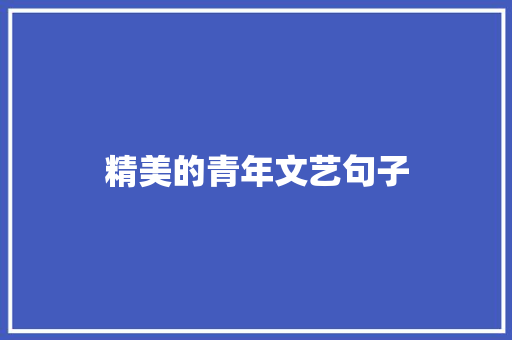 精美的青年文艺句子 写作技巧