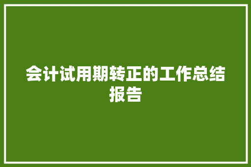 会计试用期转正的工作总结报告 商业文案