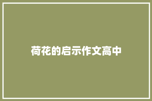 荷花的启示作文高中