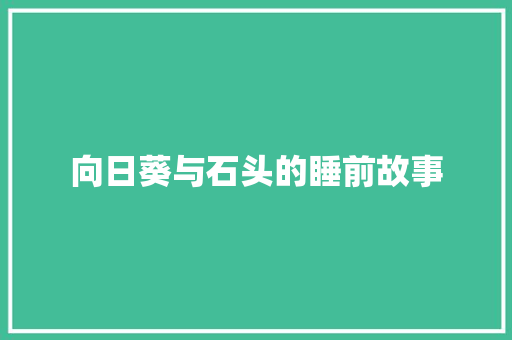 向日葵与石头的睡前故事 词汇积累