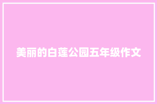 美丽的白莲公园五年级作文