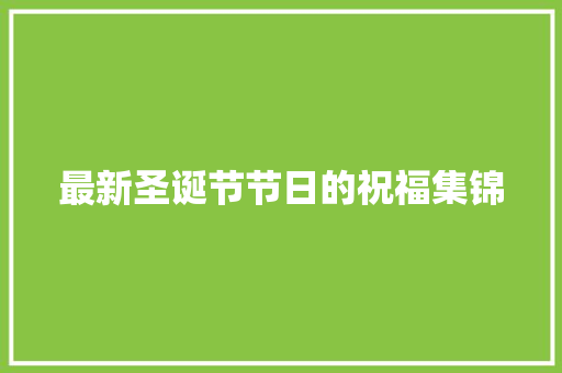 最新圣诞节节日的祝福集锦
