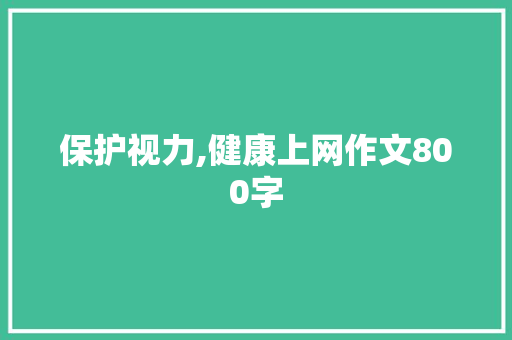 保护视力,健康上网作文800字 词汇积累