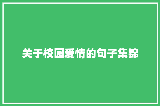 关于校园爱情的句子集锦 写作技巧