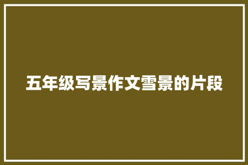五年级写景作文雪景的片段