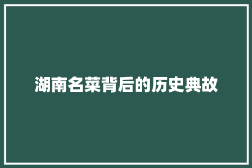 湖南名菜背后的历史典故 范文赏析
