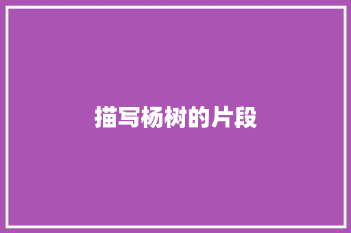 描写杨树的片段 写作社区